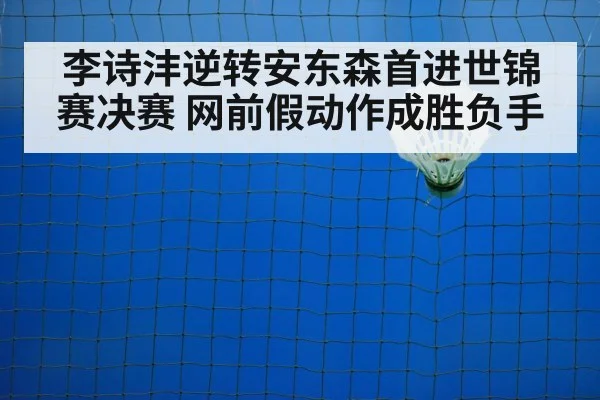 badminton net shot